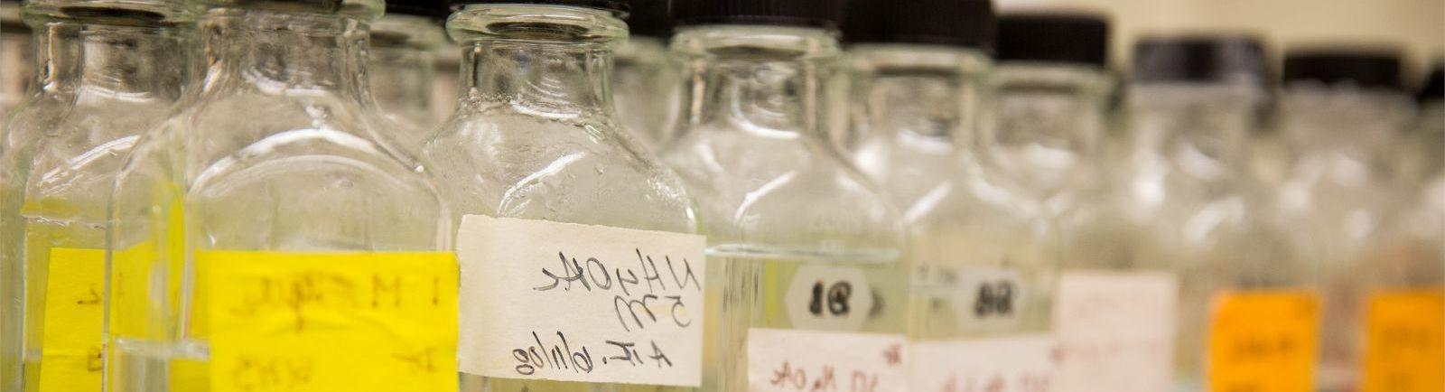 Glass containers with yellow labels lined up in a Biology lab