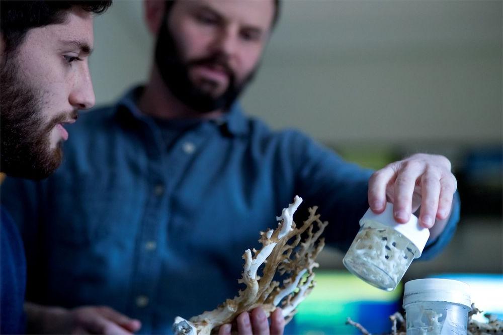 Professor and student examining coral 